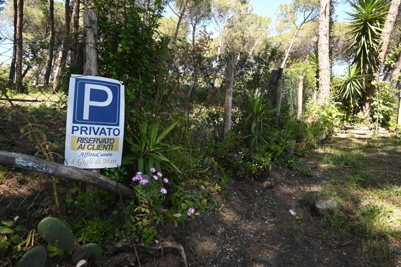 Affittacamere I Gigli Di Mare Marina Di Bibbona Exterior foto